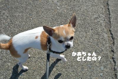 20130423+009_convert_20130426101048.jpg