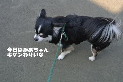 20130423+010_convert_20130426101206.jpg