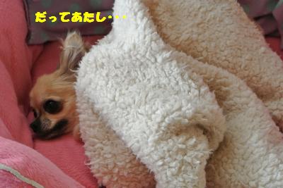 20130423+014_convert_20130425095046.jpg