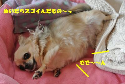 20130423+020_convert_20130425095237.jpg