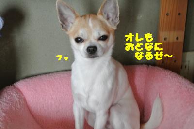 20130423+025_convert_20130501105205.jpg
