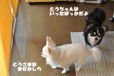 20130423+029_convert_20130423095918.jpg