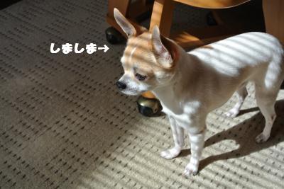 20130423+031_convert_20130423100026.jpg