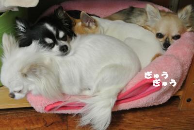 20130424+001_convert_20130424103300.jpg