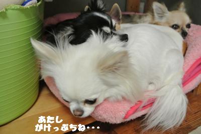 20130424+002_convert_20130424103338.jpg