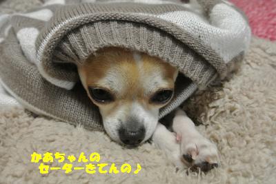 20130424+003_convert_20130424103410.jpg