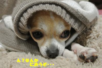 20130424+004_convert_20130424103444.jpg