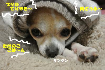 20130424+005_convert_20130424103522.jpg