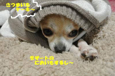 20130424+006_convert_20130424103603.jpg