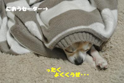 20130424+007_convert_20130424103637.jpg