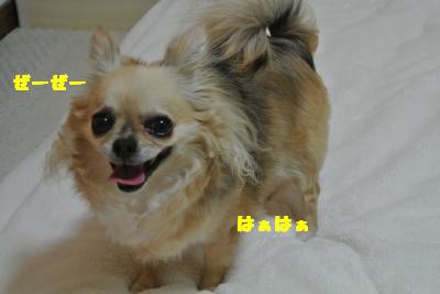 20130425+003_convert_20130425095702.jpg