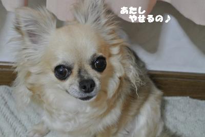 20130425+008_convert_20130425095947.jpg