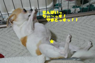20130425+009_convert_20130425095853.jpg