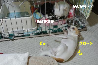 20130425+010_convert_20130425095810.jpg