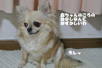 20130425+015_convert_20130514144018.jpg