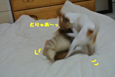 20130425+018_convert_20130425095618.jpg