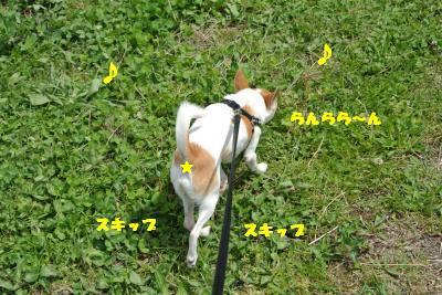 20130426+002_convert_20130426101727.jpg