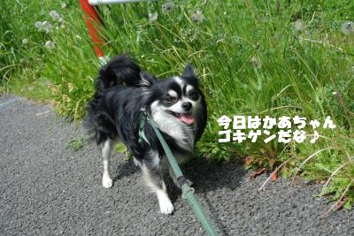 20130426+015_convert_20130426101259.jpg