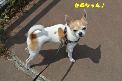 20130426+016_convert_20130426101329.jpg
