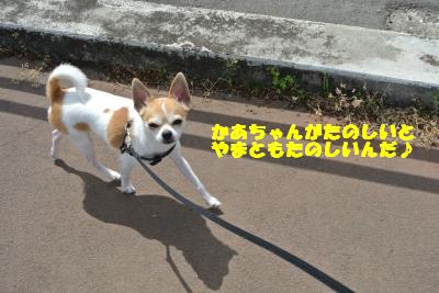 20130426+017_convert_20130426101358.jpg