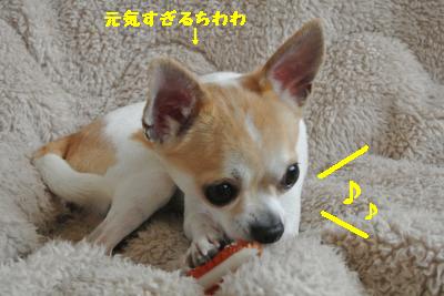 20130429+009_convert_20130429102139.jpg