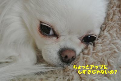 20130429+010_convert_20130429101846.jpg