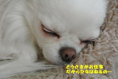 20130429+011_convert_20130429101937.jpg