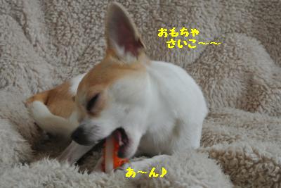 20130429+013_convert_20130429102027.jpg
