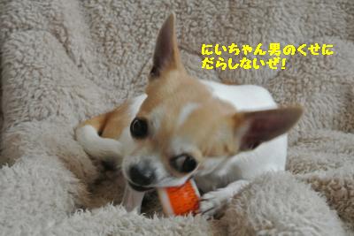 20130429+015_convert_20130429102105.jpg