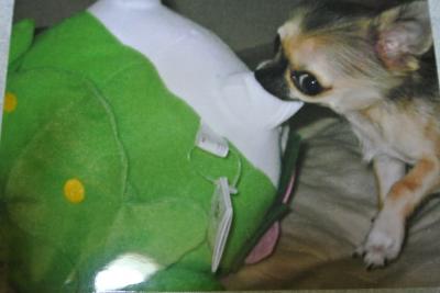 20130430+002_convert_20130514143945.jpg