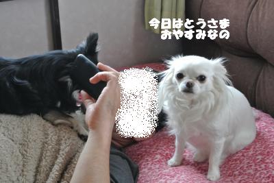 20130430+003_convert_20130430110053.jpg