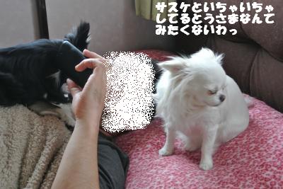 20130430+005_convert_20130430110124.jpg