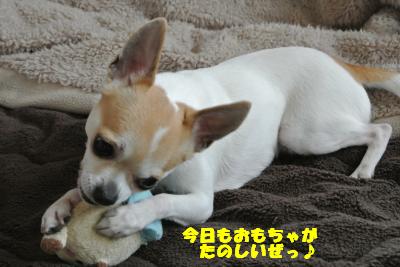 20130430+006_convert_20130430112032.jpg
