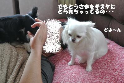20130430+007_convert_20130430110150.jpg