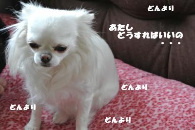 20130430+009_convert_20130430110243.jpg