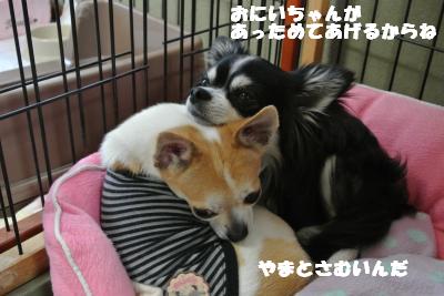 20130501+003_convert_20130501103531.jpg