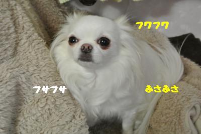 20130502+006_convert_20130502112932.jpg