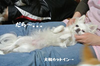 20130505+001_convert_20130505225944.jpg
