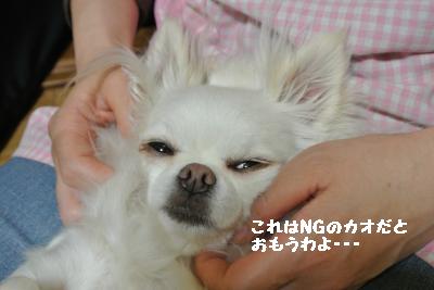 20130505+003_convert_20130505230010.jpg