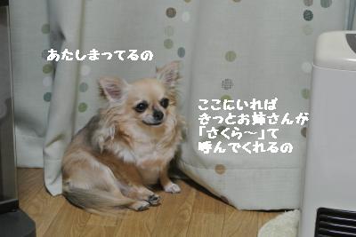 20130505+005_convert_20130505230039.jpg