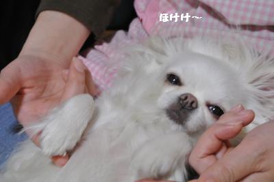 20130505+006_convert_20130505225904.jpg