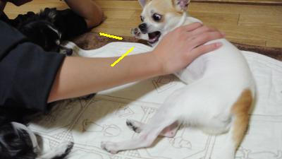 20130505+007_convert_20130505225710.jpg