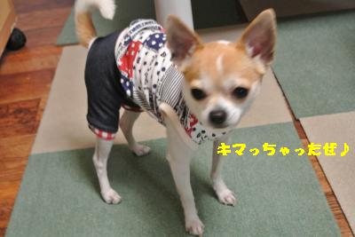 20130505+011_convert_20130505230316.jpg