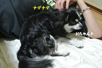 20130505+013_convert_20130505225755.jpg