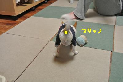 20130505+014_convert_20130505230401.jpg