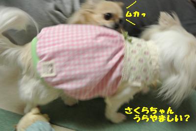 20130505+015_convert_20130505230806.jpg