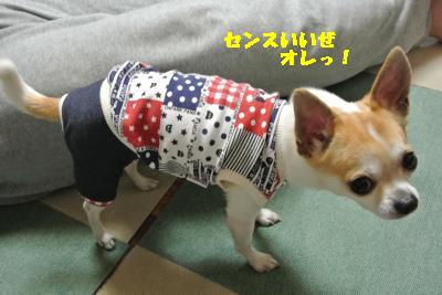 20130505+017_convert_20130505230451.jpg