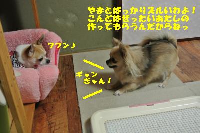 20130505+019_convert_20130505230556.jpg