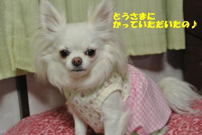 20130505+020_convert_20130505230700.jpg