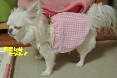 20130505+021_convert_20130505230730.jpg